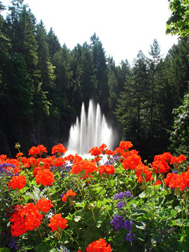 Fountain on Vancouver Island